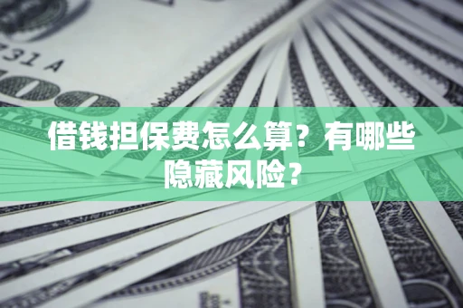 武汉借钱担保费怎么算？有哪些隐藏风险？