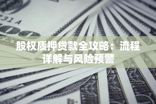 武汉股权质押贷款全攻略：流程详解与风险预警