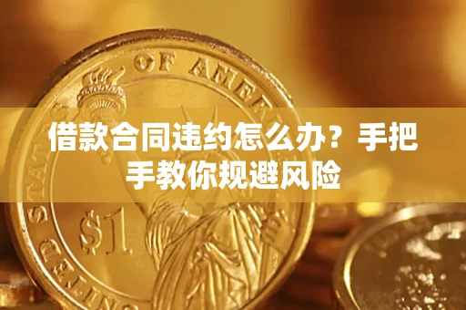 武汉借款合同违约怎么办？手把手教你规避风险