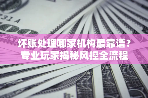 武汉坏账处理哪家机构最靠谱？专业玩家揭秘风控全流程