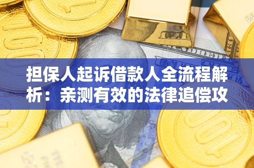 武汉担保人起诉借款人全流程解析：亲测有效的法律追偿攻略