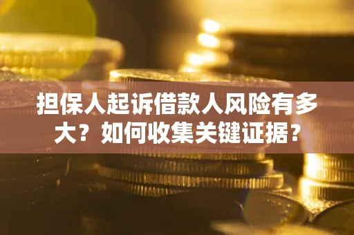 武汉担保人起诉借款人风险有多大？如何收集关键证据？
