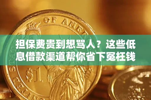 武汉担保费贵到想骂人？这些低息借款渠道帮你省下冤枉钱