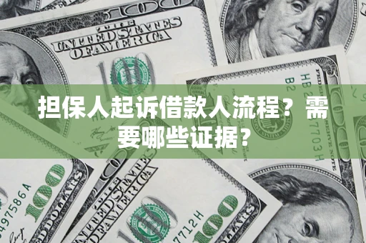 武汉担保人起诉借款人流程？需要哪些证据？