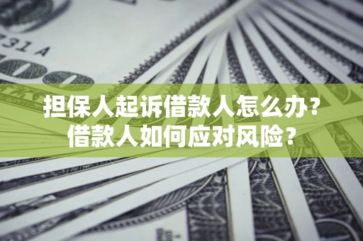 武汉担保人起诉借款人怎么办？借款人如何应对风险？