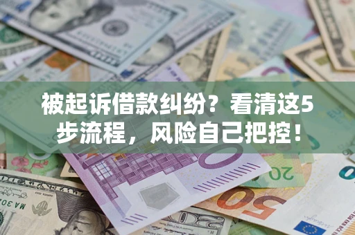 武汉被起诉借款纠纷？看清这5步流程，风险自己把控！