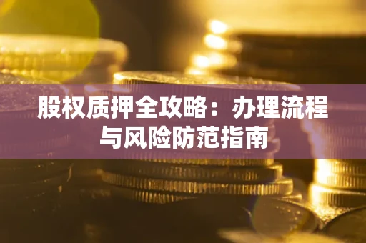 武汉股权质押全攻略：办理流程与风险防范指南