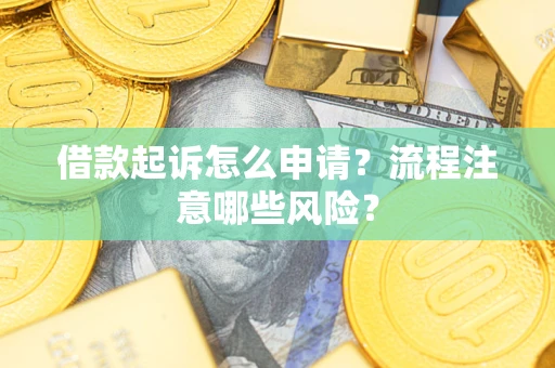 武汉借款起诉怎么申请？流程注意哪些风险？
