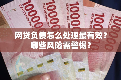 武汉网贷负债怎么处理最有效？哪些风险需警惕？