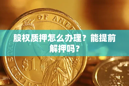 武汉股权质押怎么办理？能提前解押吗？